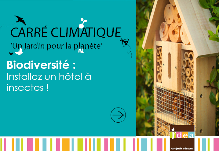 Carré Climatique - Installez un hôtel à insectes !